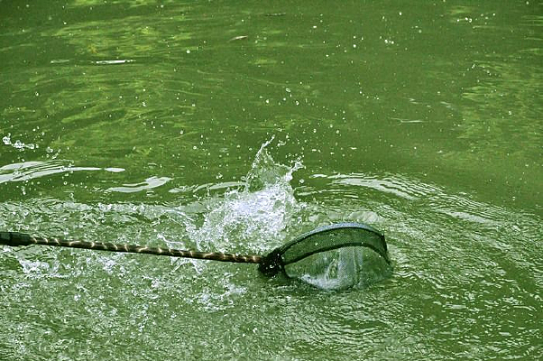 ����˲��