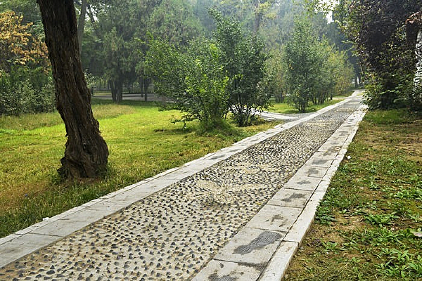 ��԰����С��