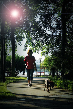 ����ɢ��