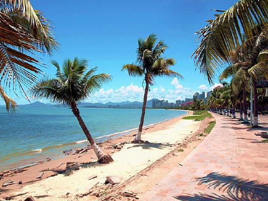 ɳ̲�ϵ�Ҭ����