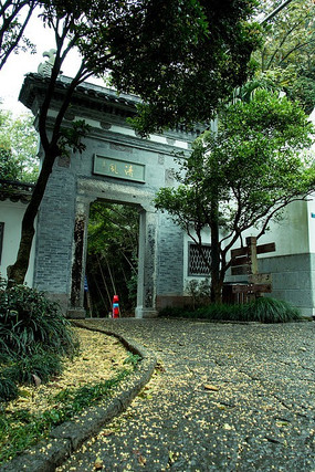 ��ǰ�Ļ���