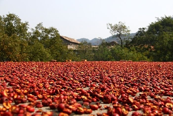 ����ɽ���