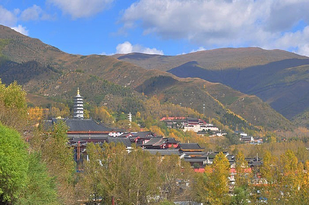 ��Ժ����