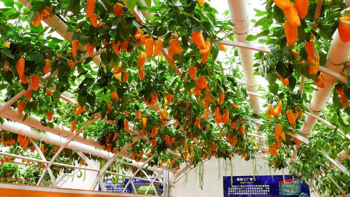 ������������