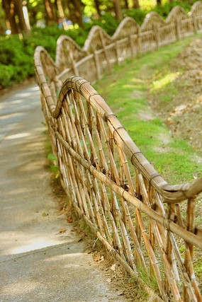 �������