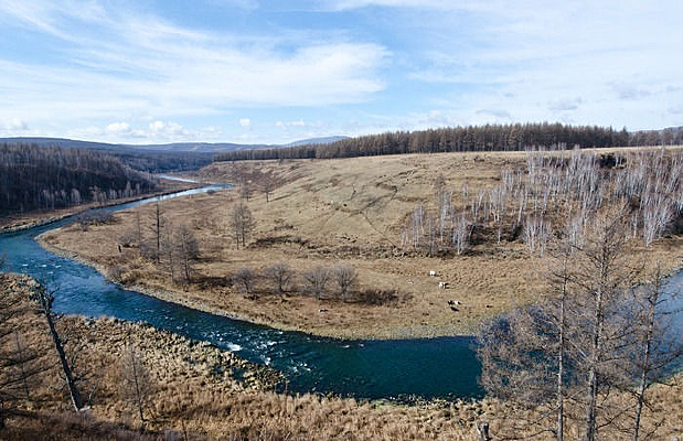 ����ɽ������