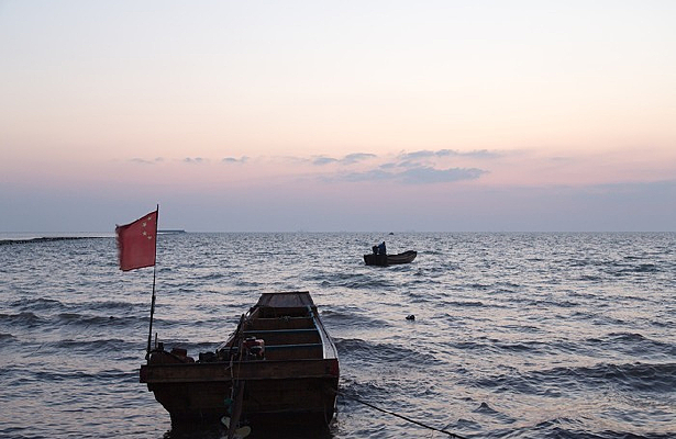 ����ͣ��