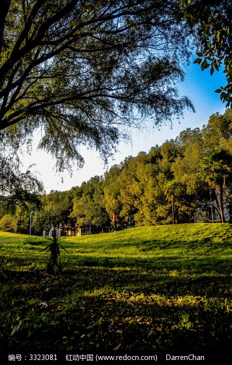 �¶�һ��ͼƬ