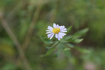 �����Ұ��