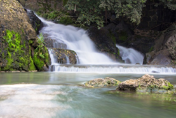 Ϫ������