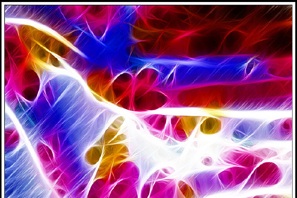 ���Ա�������