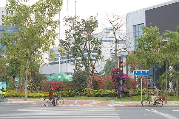 �ȴ��̵Ƶ���