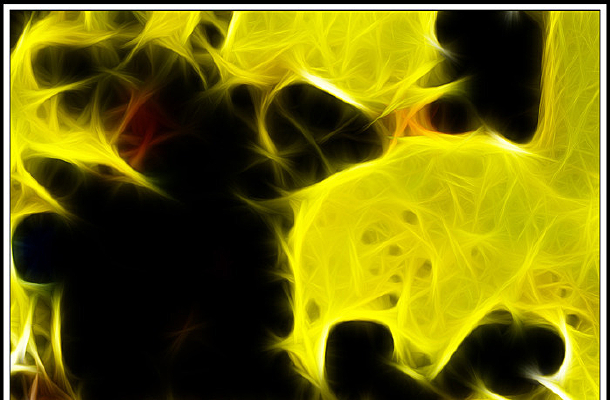 ���Ʊ���