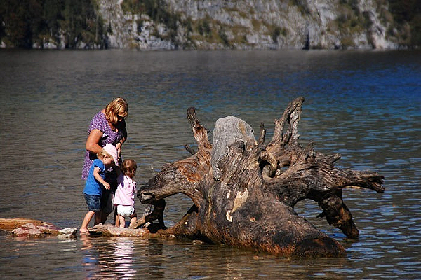 ����������Ϸ