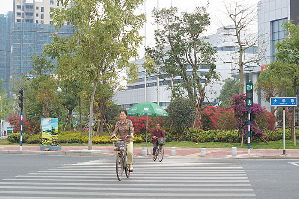 �������г�����