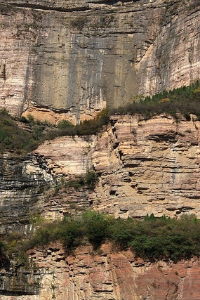 ɽ������