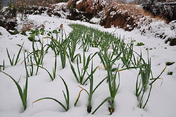 ����Ȼ�е�����