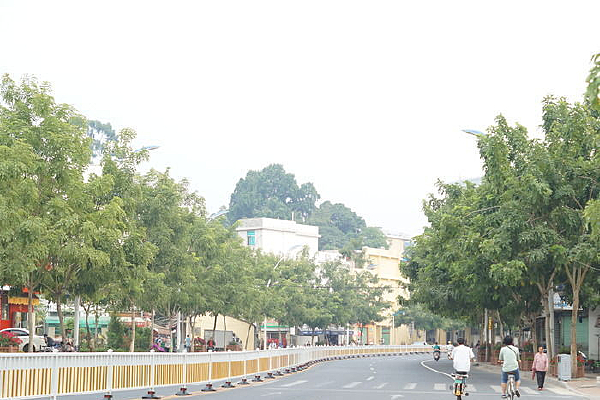 ����С��