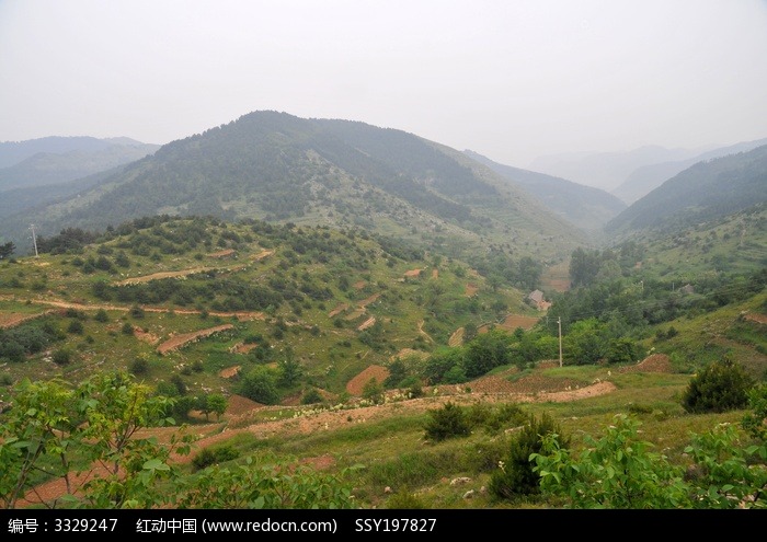 大山裡的風景