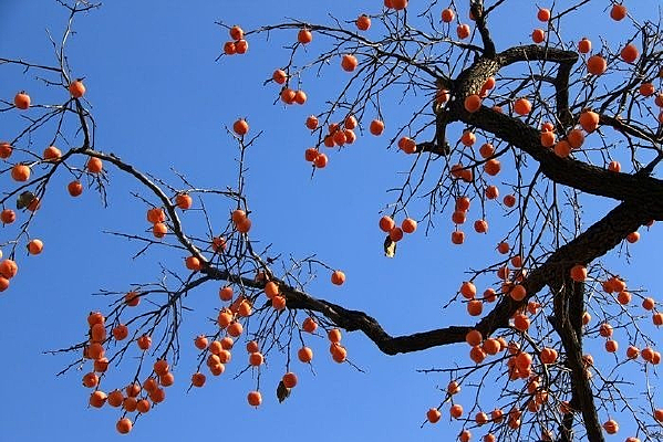 ���յ�������