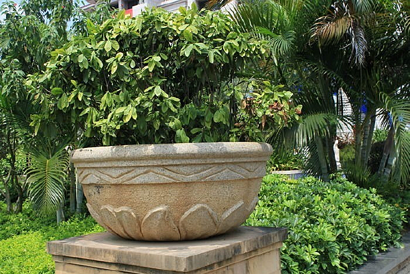 ����Сֲ��