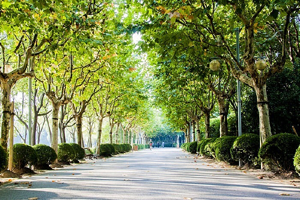 �����Ĺ�԰