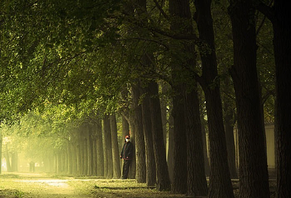 �������