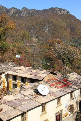 �����ũ��Ժ