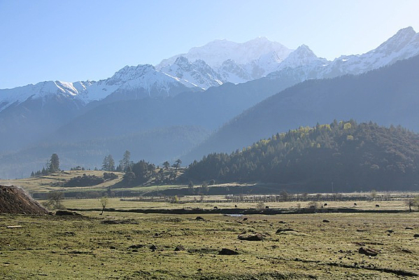 ³��ԭʼɭ��