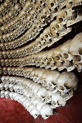 ɫ������