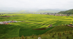 ��ɽ����