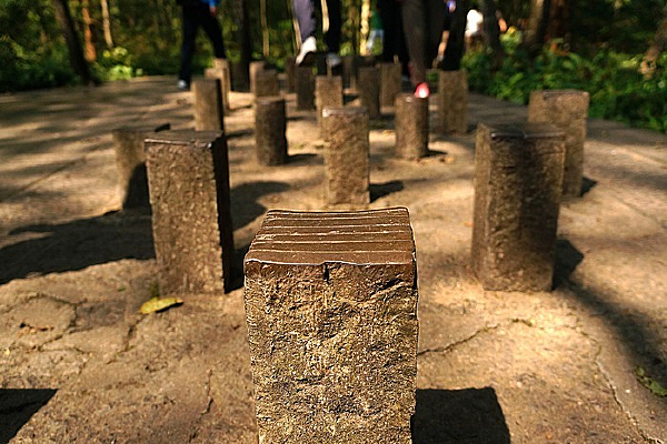 ʯ׮�������Ӱ