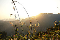 Ϧ��������