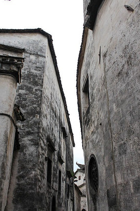 �ŵ�����