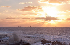 ϼ������