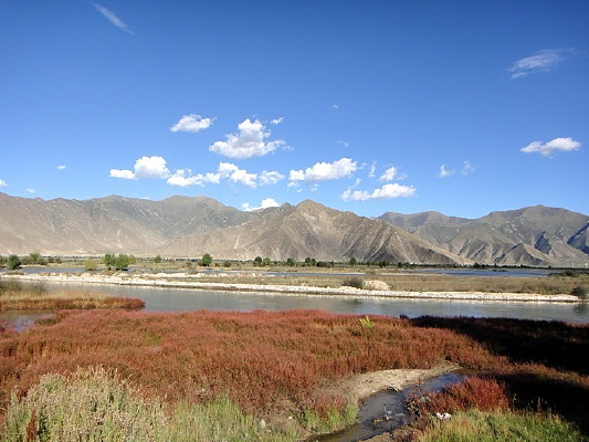 �����ƹ���