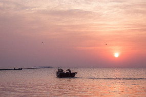 ������ʻ