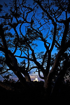 ���������İ���