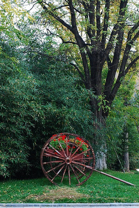 ��԰����