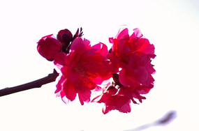 ӣ�����࿪��