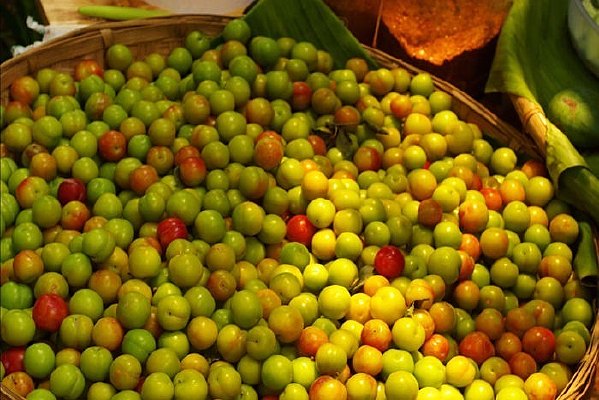 ��͸������