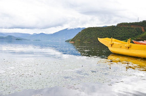 ������Ӱ