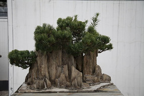 �����ϵĻ���