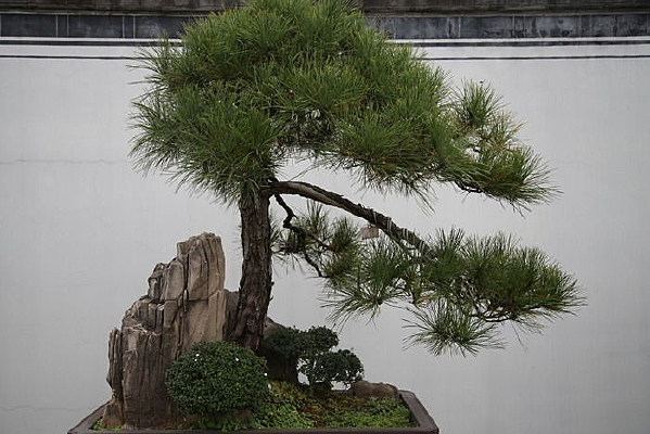 ��ӭ����