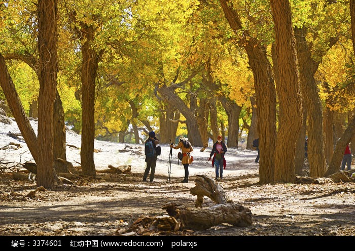 ���������е��ο�ͼƬ