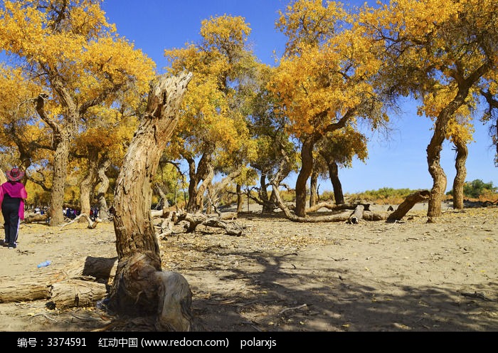 ɳ���ϵĺ�������ͼƬ