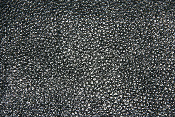 ��ţƤ����