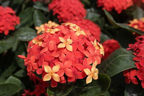 ���λ���