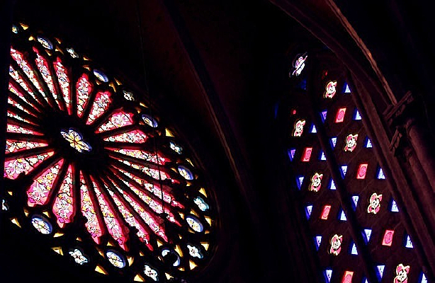 ���û���