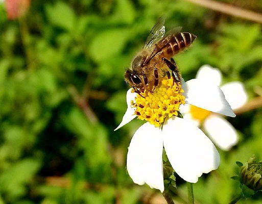 æµ��С�۷�